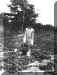 4411a.jpg (74952 bytes)